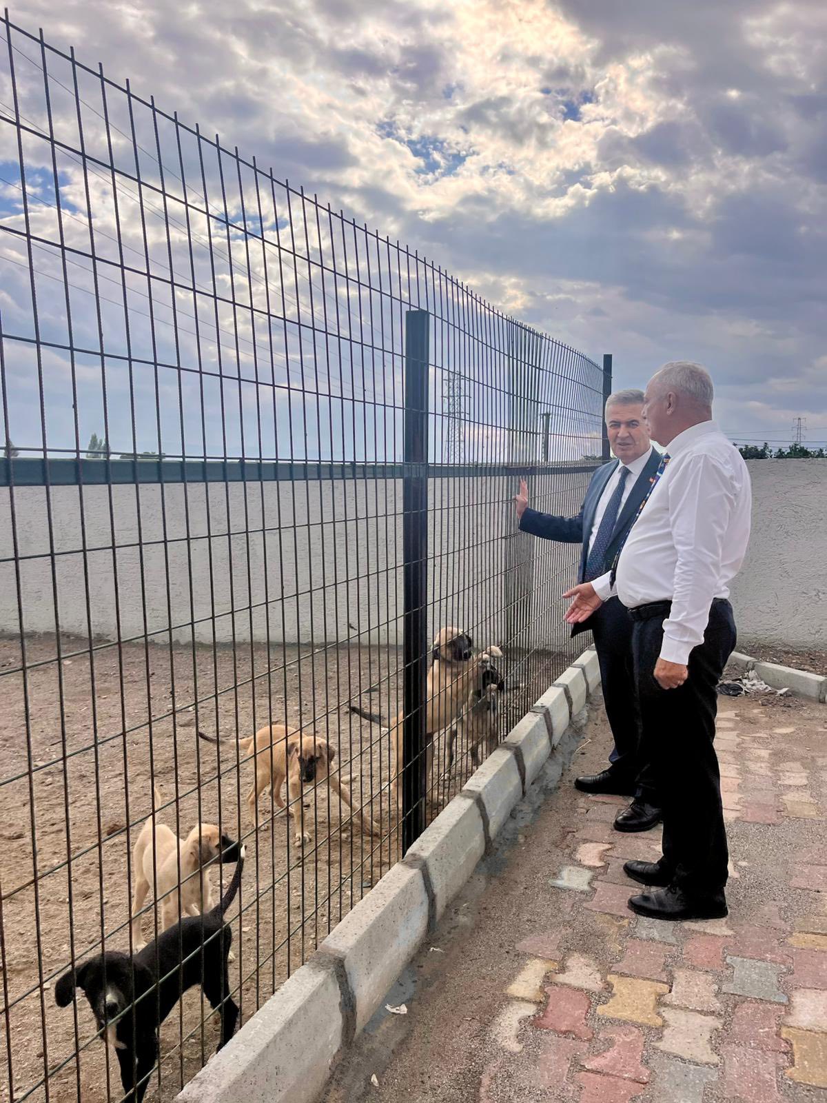 Baskan Eroldan Sultanhisardaki Barinakta Inceleme 609285 C4Ef5833349A1E4947Ce36B56822642F