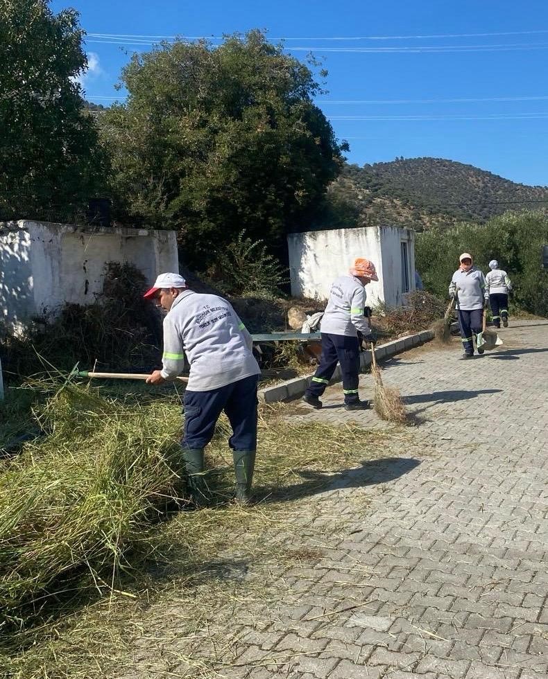 Bozdogan Belediyesi Ekiplerinden Cemiyet Sonrasi Temizlik Mesaisi 9B650Bf3C793Ef8C395B36A38F05986A