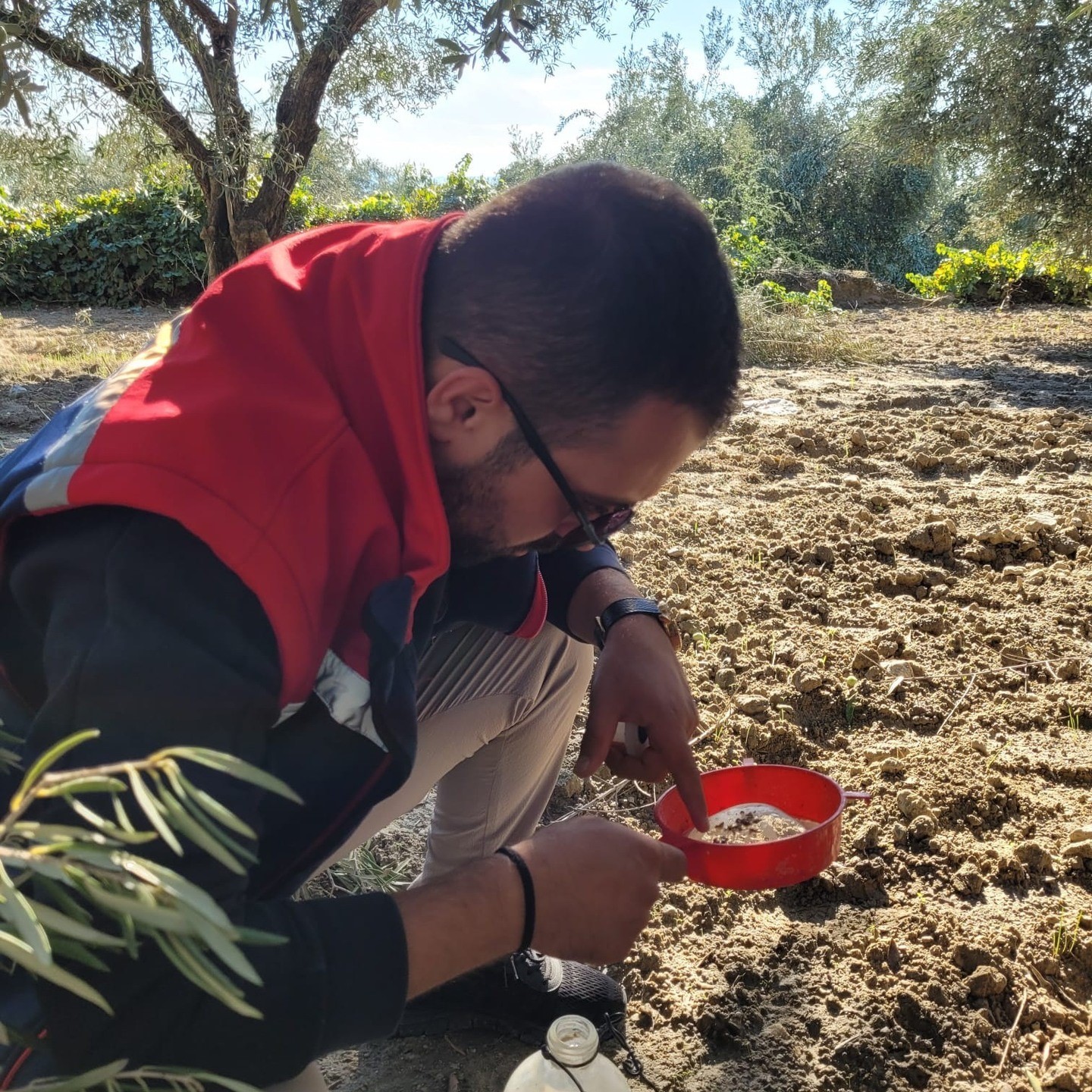 Buharkentte Meyve Sinegiyle Mucadele Araliksiz Suruyor F05028E2004B57E95B250Ec839Fcb6B4