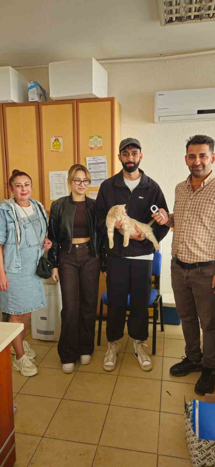 Cip Sayesinde Kayip Kedi Kisa Surede Sahibine Kavustu 8965B0D8251D78B504F4Fd92029906D5