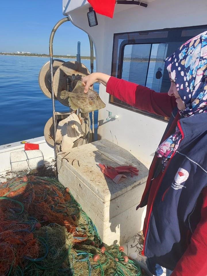 Didimde Su Urunleri Kontrolu 842C608B1A070D541243A833Ee1585F8