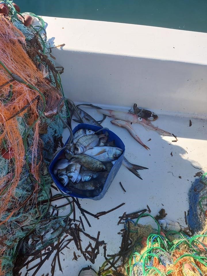 Didimde Su Urunleri Kontrolu F3C1Cd0D503E644810A3232464C002D9