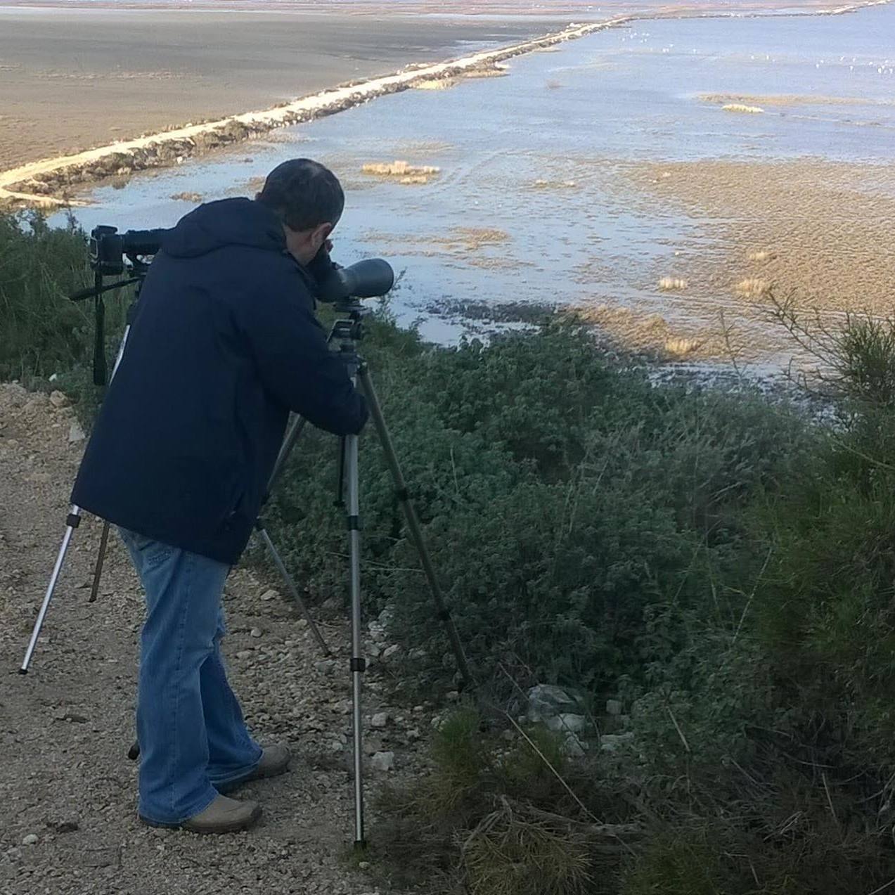 Didimli Kus Gozlemcisi Turkiyede Yeni Bir Turu Daha Fotografladi 604504 Fa58472Ff33880A6D24A1936Be6Bdf3E