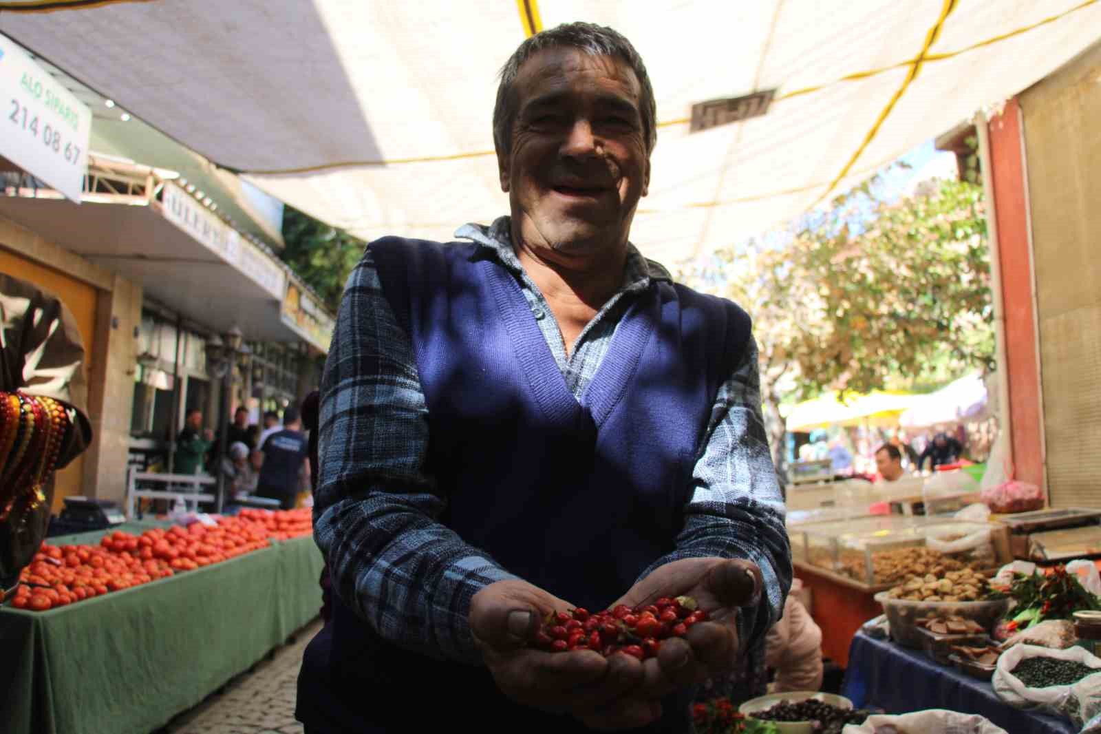 Dikenlerin Arasinda Zahmetle Toplanan Kusburnuna Ragbet Artti 8665Ac807E83C36886D4077Dcd89Fc04