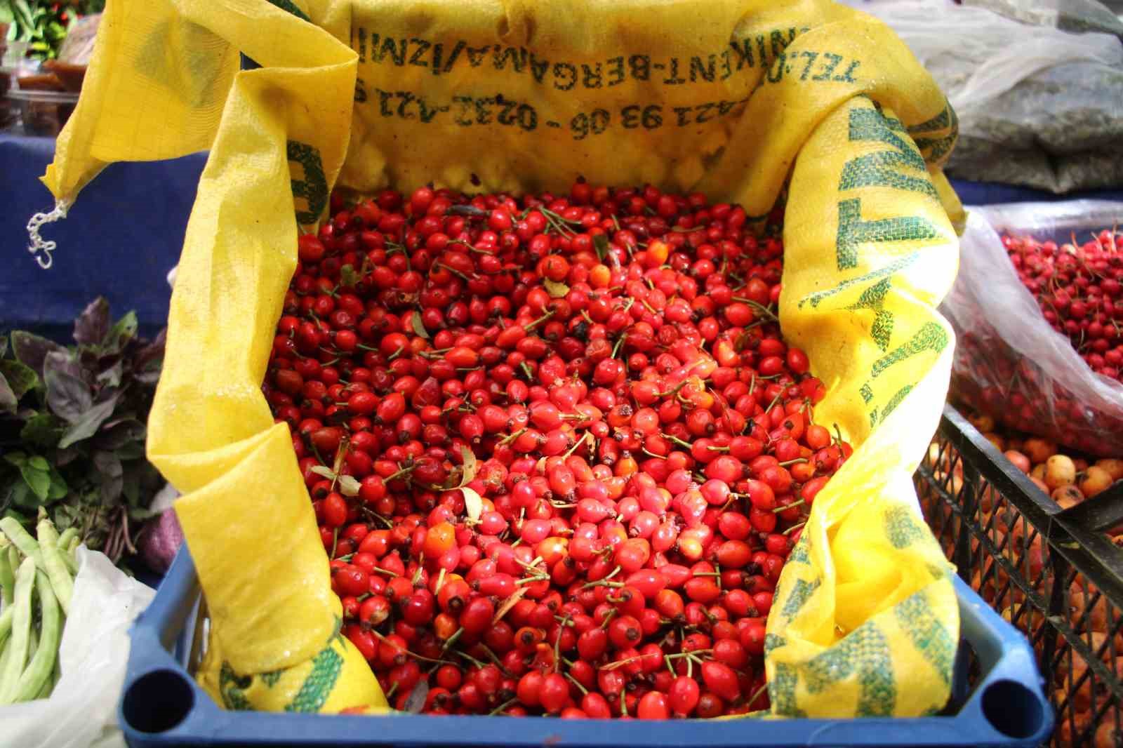 Dikenlerin Arasinda Zahmetle Toplanan Kusburnuna Ragbet Artti 9044F48B085A46B9B71384391A74829C