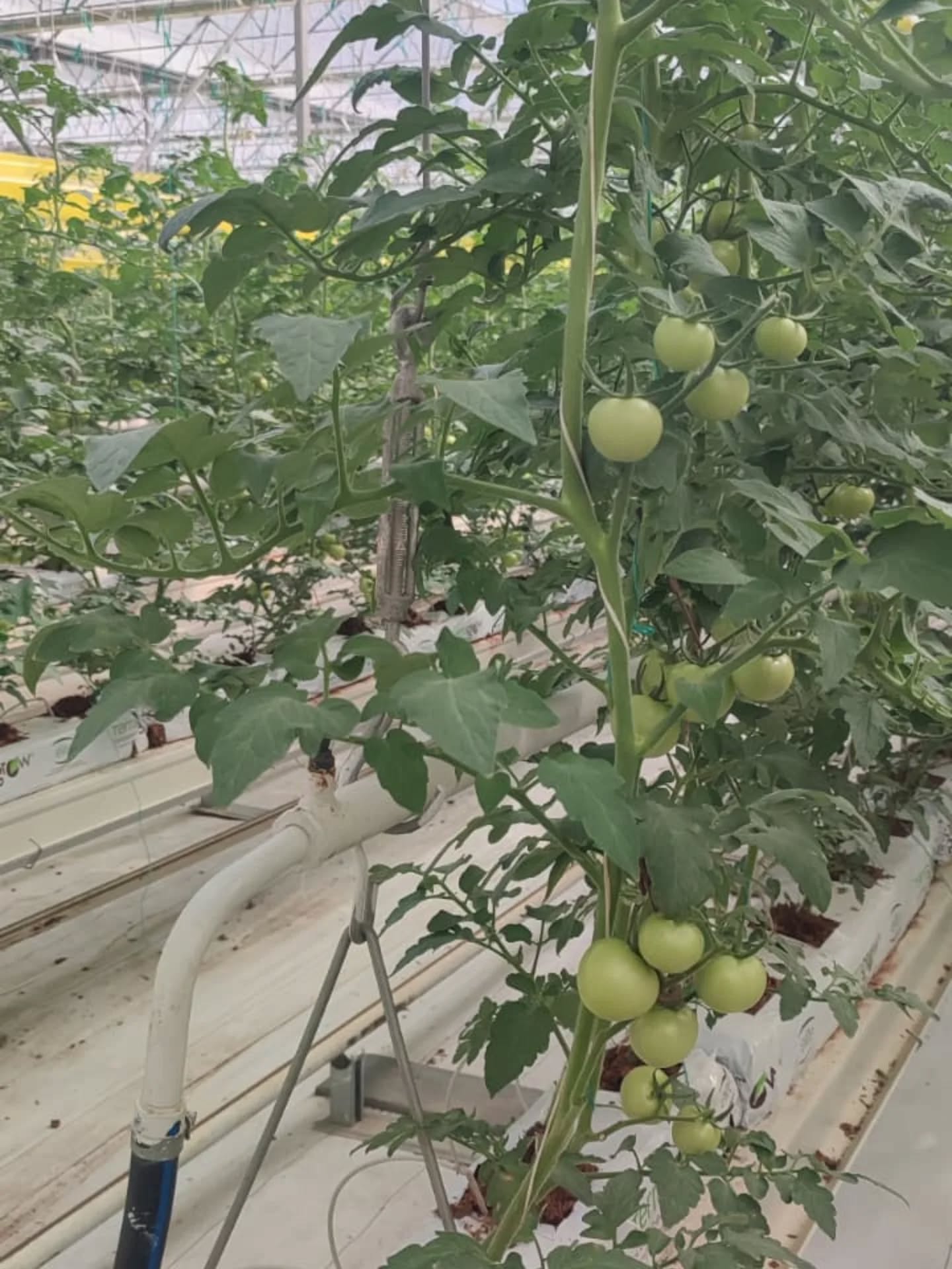 Efeler Tarima Dayali Osbde Inceleme 604235 0Be42Ed9404B51948B3Ae15E3E33710C