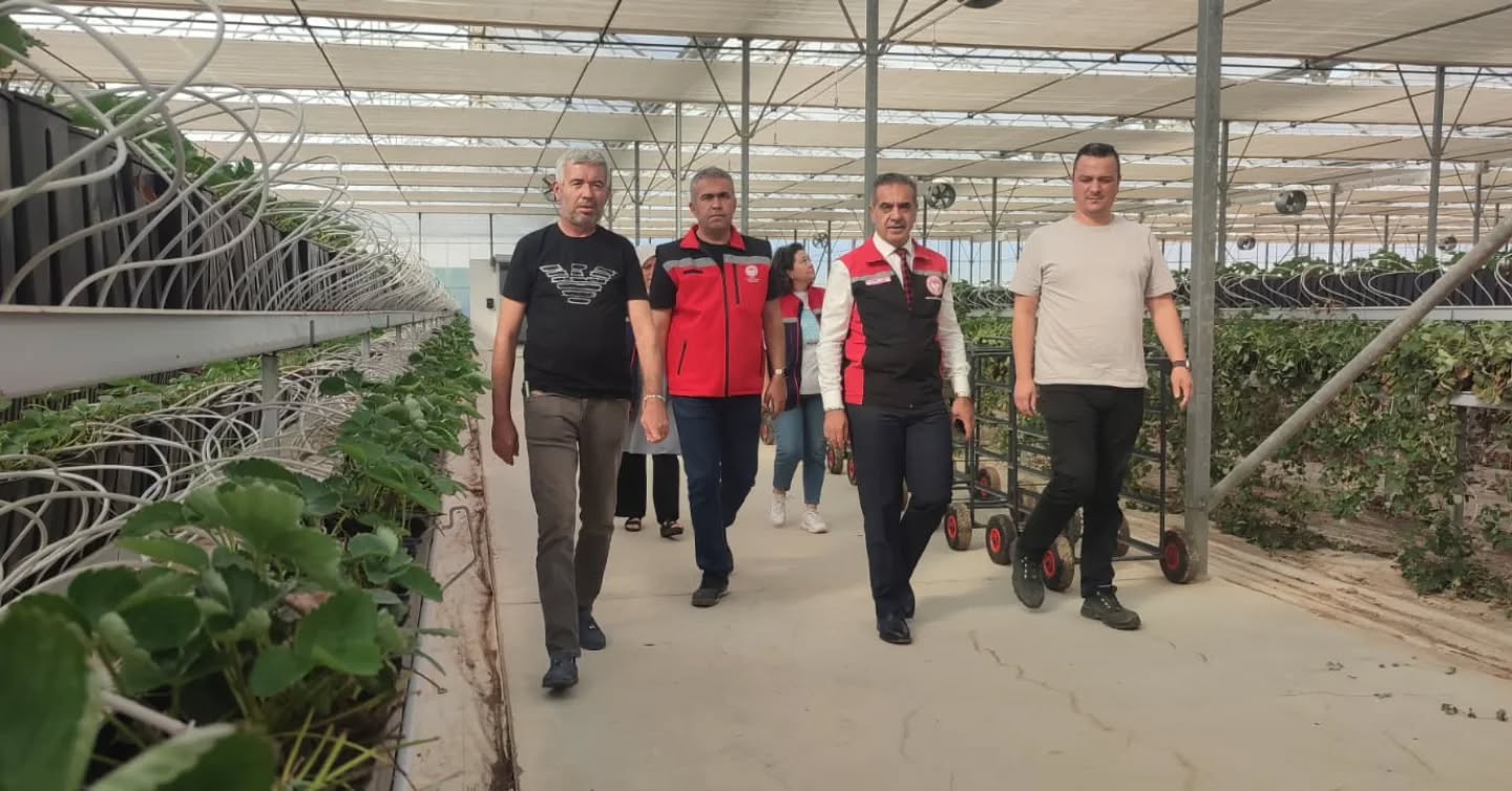 Efeler Tarima Dayali Osbde Inceleme 604235 5Bcbe5Ed1Cf4250C303Db1Dcb822Bf6C