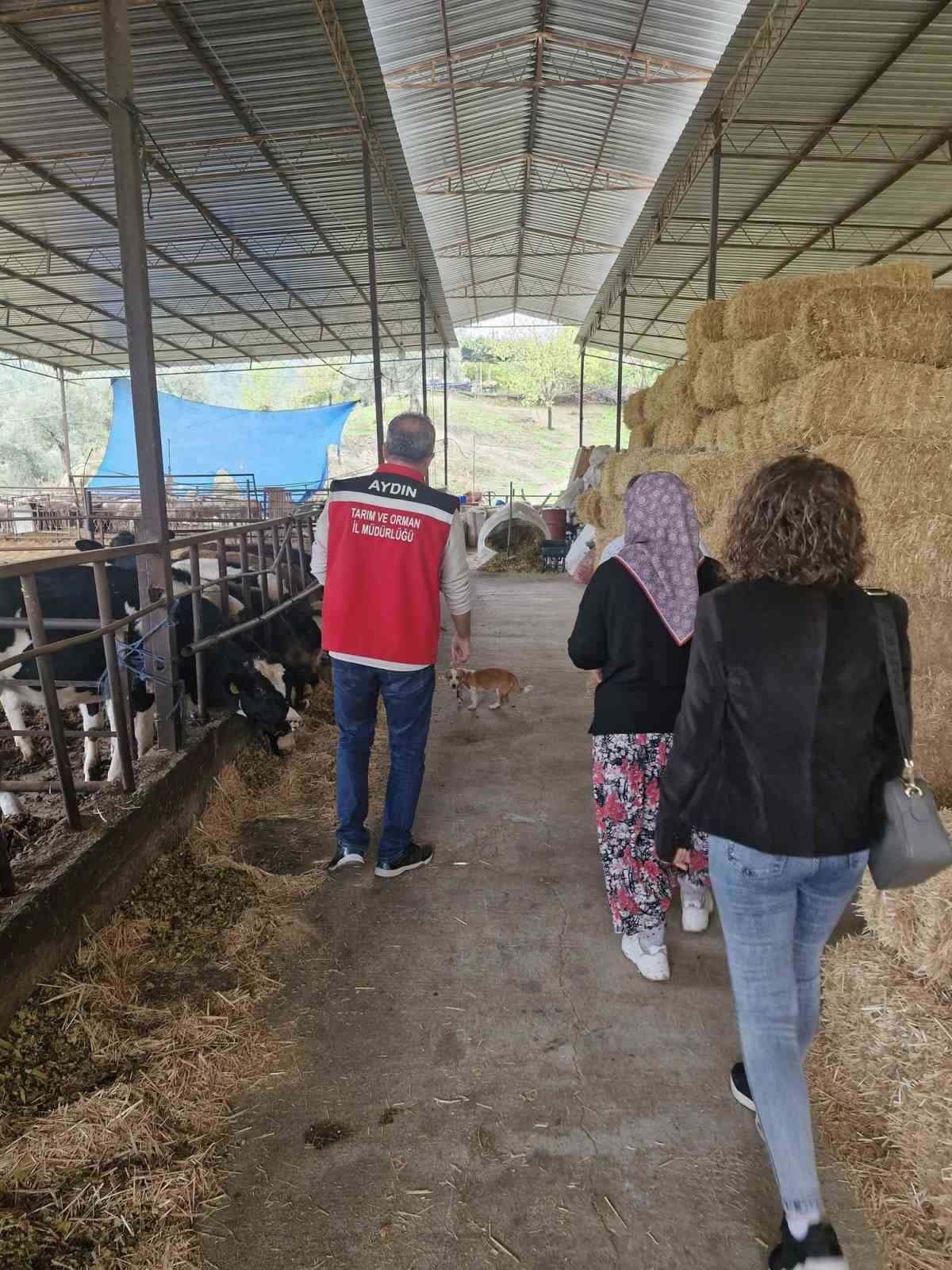 Efelerli Kadin Ciftci Kendi Isletmesini Kurdu 947923829Dea7D90F4D7C73D2Ece1C33