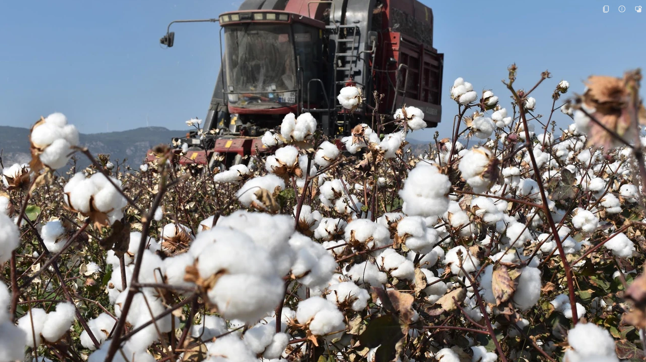 Ekran Görüntüsü 2025 10 21 145640