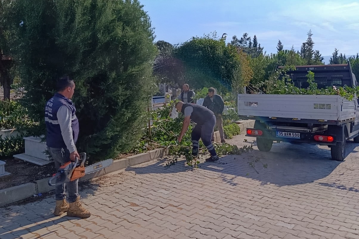 I M G 20251011 W A0025