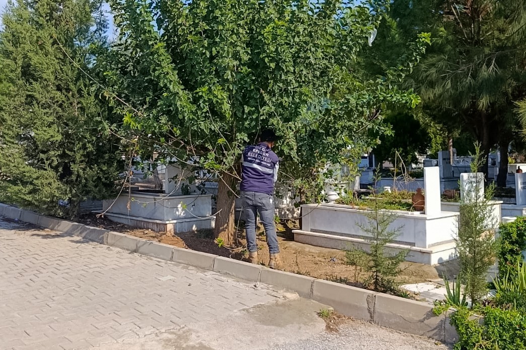 I M G 20251011 W A0028