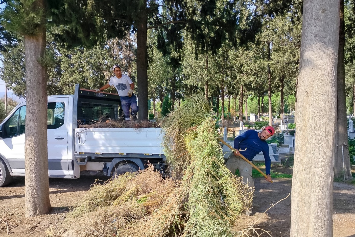 I M G 20251017 W A0014