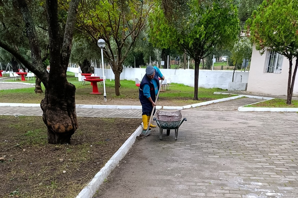 I M G 20251024 W A0039