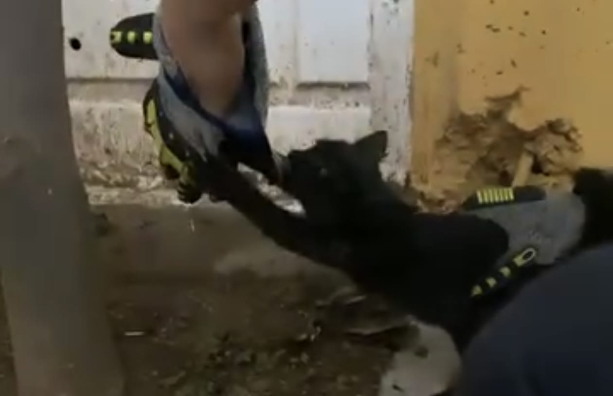 I M G 20251025 W A0076