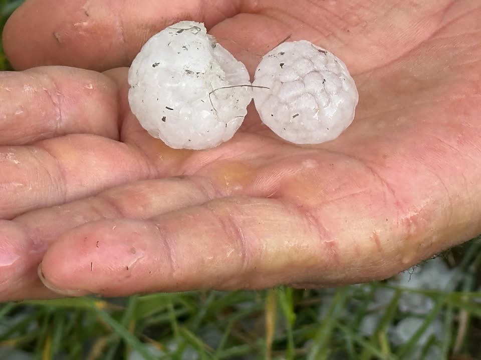 Incirliovada Dolu Felaketi Ceviz Buyuklugundeki Dolu Zarar Verdi 608752 A9C2D06Fd5A99Bd5151E1592999Eab4A