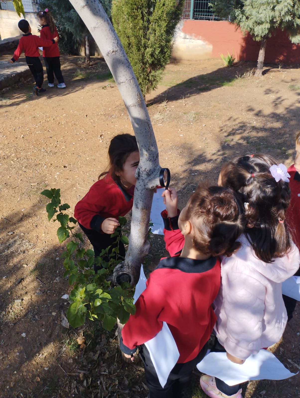 Karacasuda Atakoylu Minikler Ormanlarin Kahramani Olacak 608044 094256De46Df8F0F0099Cc8F747A57Dd