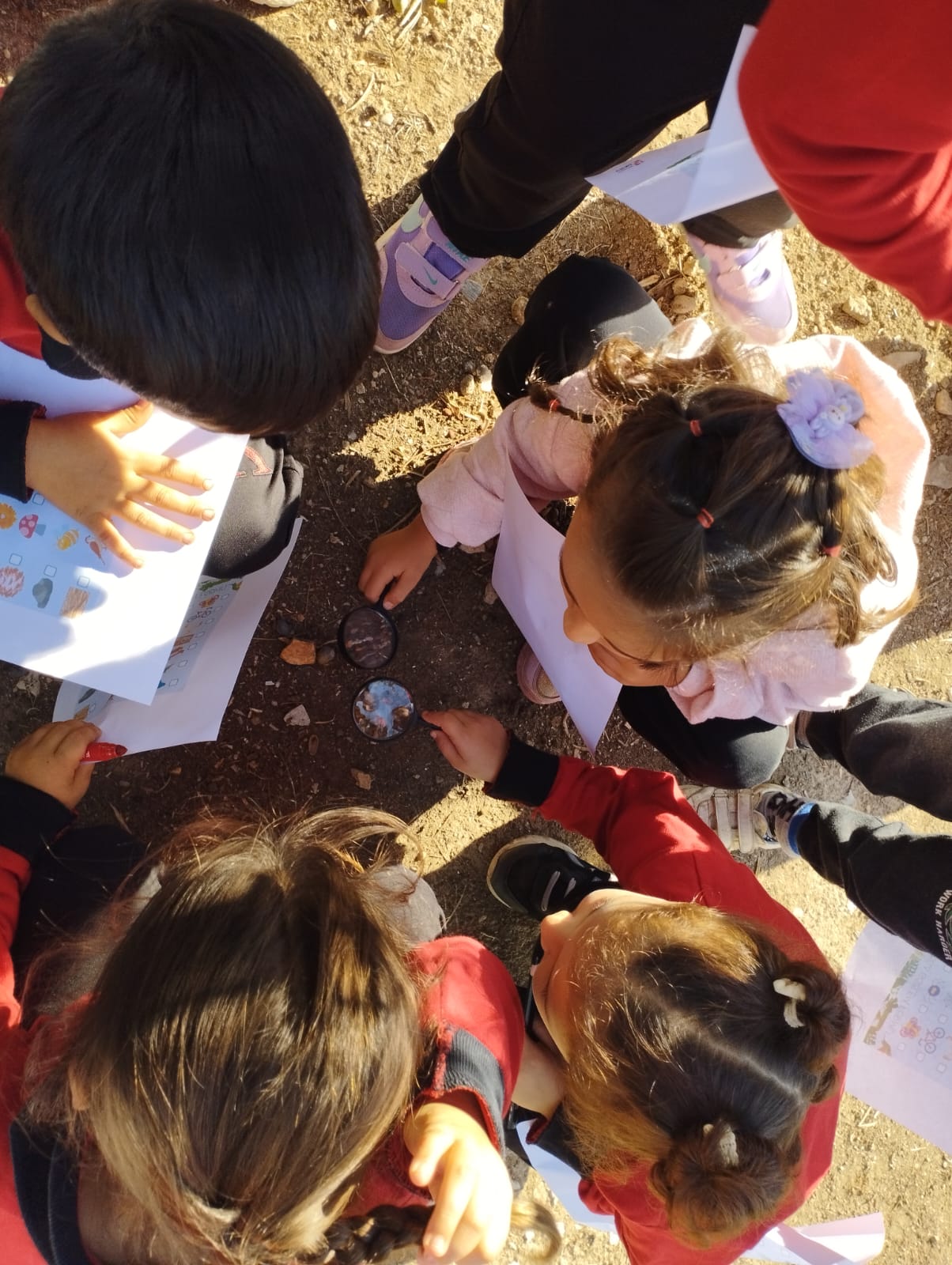 Karacasuda Atakoylu Minikler Ormanlarin Kahramani Olacak 608044 A72731D1Dd043Ddd55Ab61B40087B193