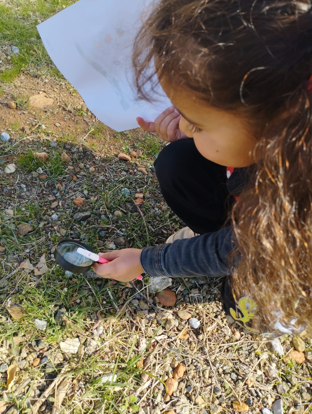 Karacasuda Atakoylu Minikler Ormanlarin Kahramani Olacak 608044 D43092F8Ebfcce9Ed1909E2019B94F66