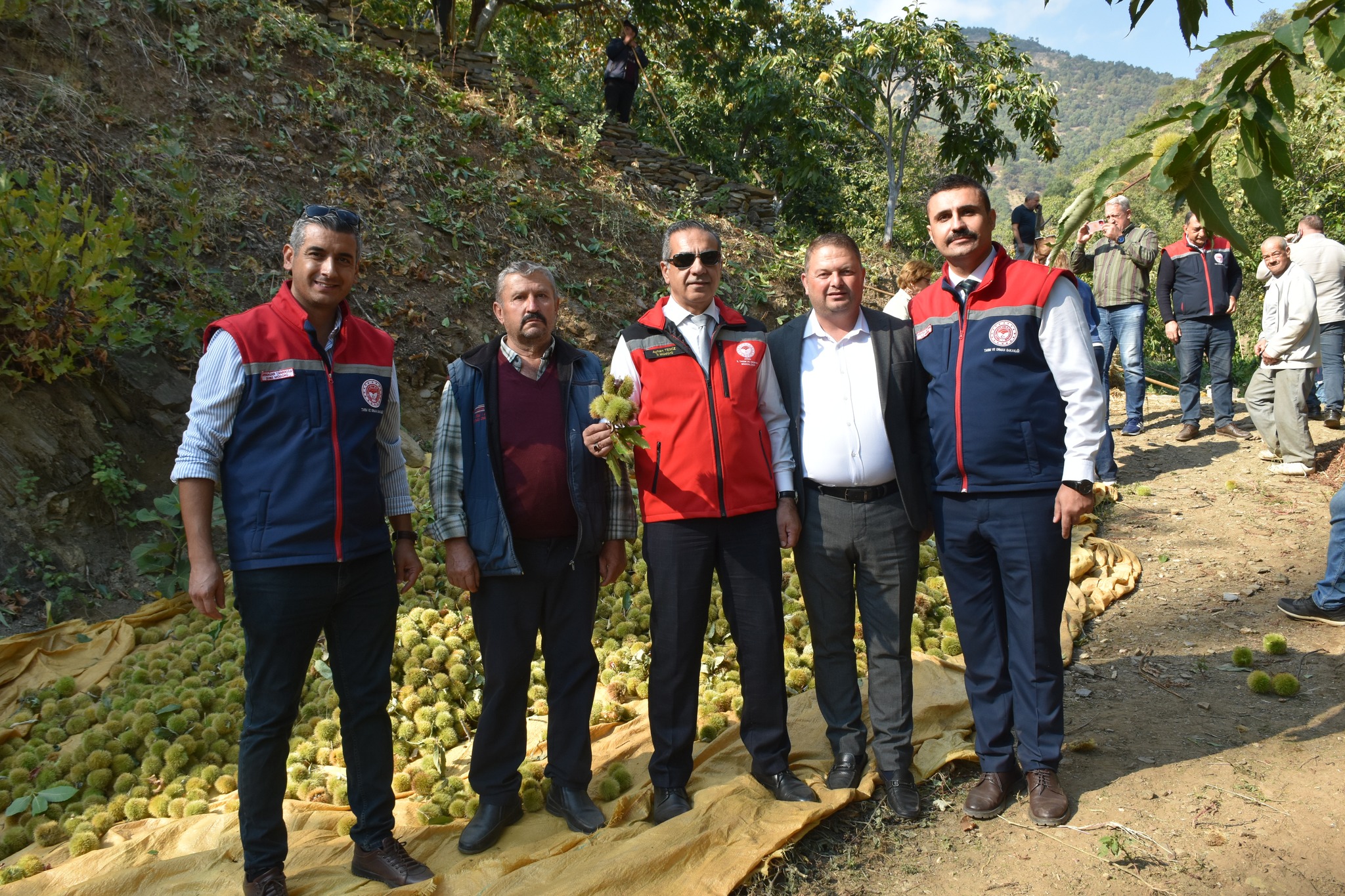 Kestanenin Baskenti Aydinda Hasat Sevinci 607035 0F2F9B04F5C9Fede5F45765Ca526F3B9