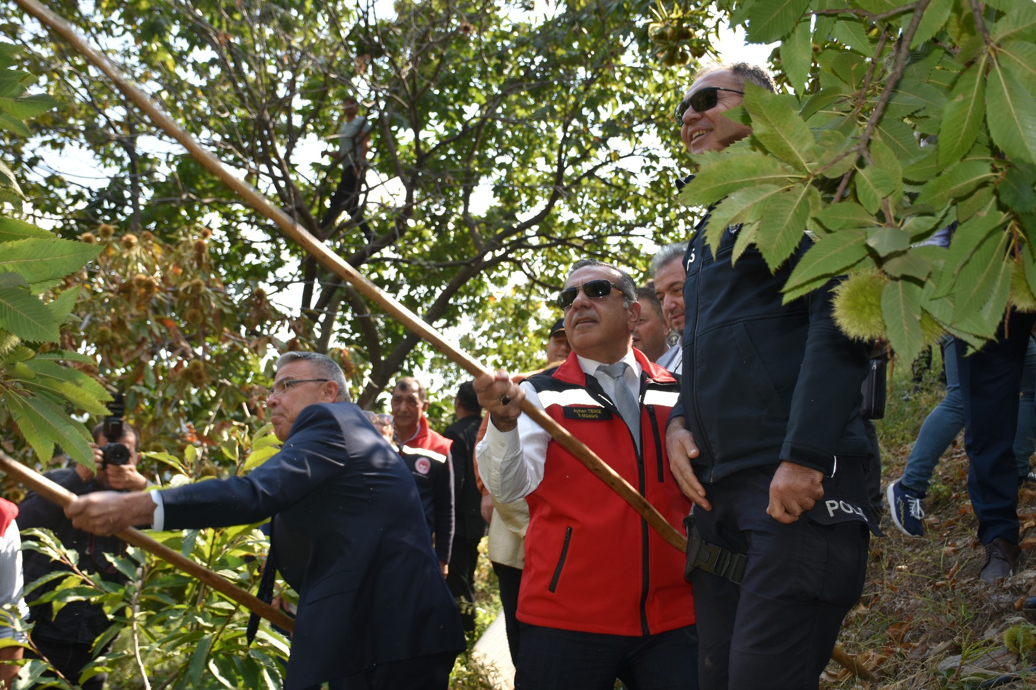 Kestanenin Baskenti Aydinda Hasat Sevinci 607035 D58A97137D19100E728E6B44Dde79Eb0