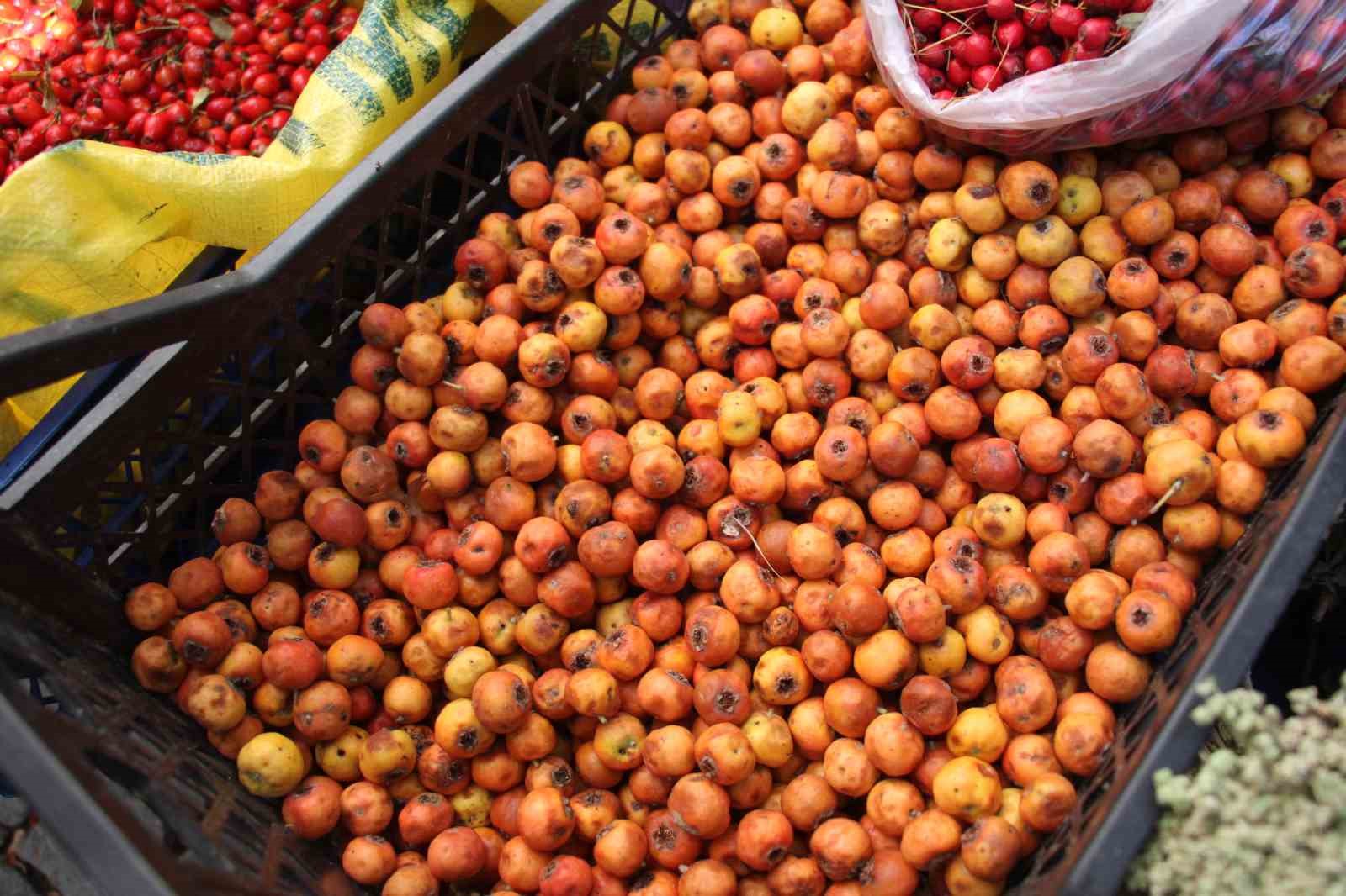 Kisin Habercisi Alic Meyvesi Tezgahlari Renklendirdi 02D77E56D9Ed1Bd883517B6Dcd7B48D7