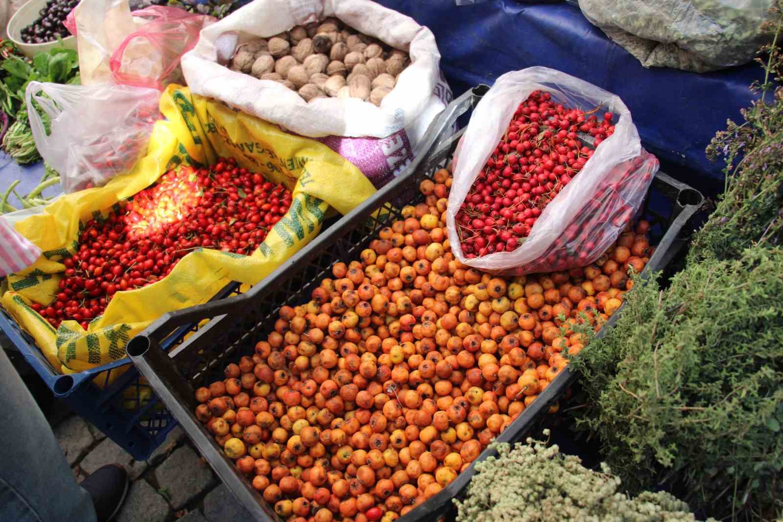 Kisin Habercisi Alic Meyvesi Tezgahlari Renklendirdi 4E3Bcaa4574C8D893Cf87A73C81737C7