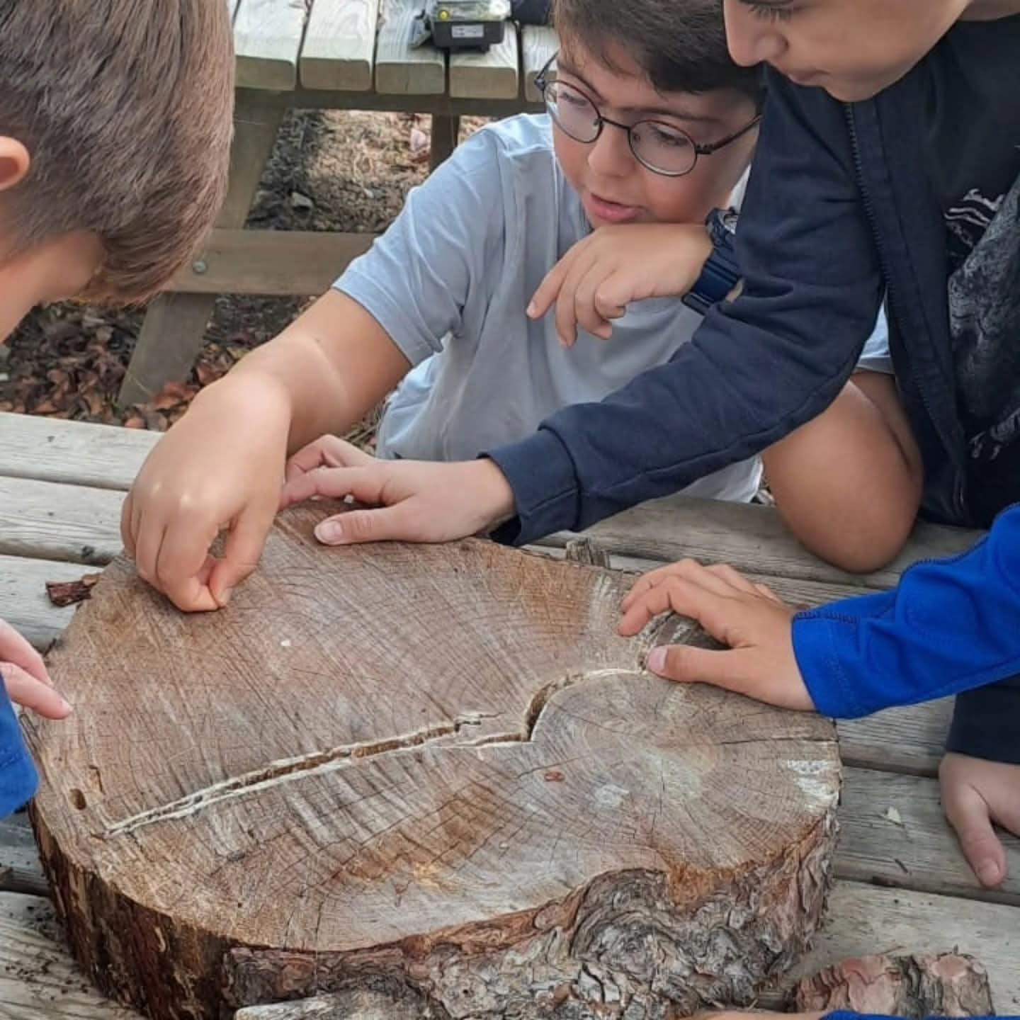 Kusadasi Bilsemli Ogrenciler Milli Parki Kesfetti 607846 Dcdd61C7897B357B6F9Bfbeaa62F0A1D