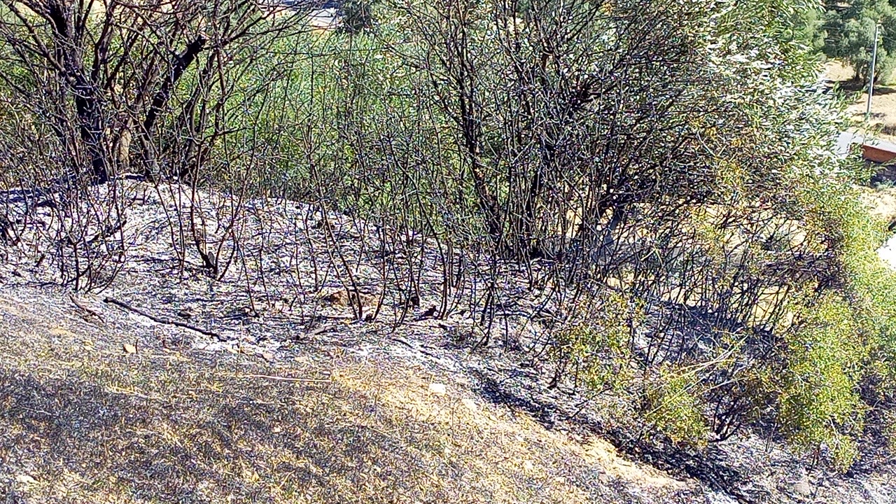 Nazillide Makilik Alanda Yangin Panigi 10 Donum Alan Zarar Gordu 606207 Cbef50769841Bd951Ce90Fe377133247