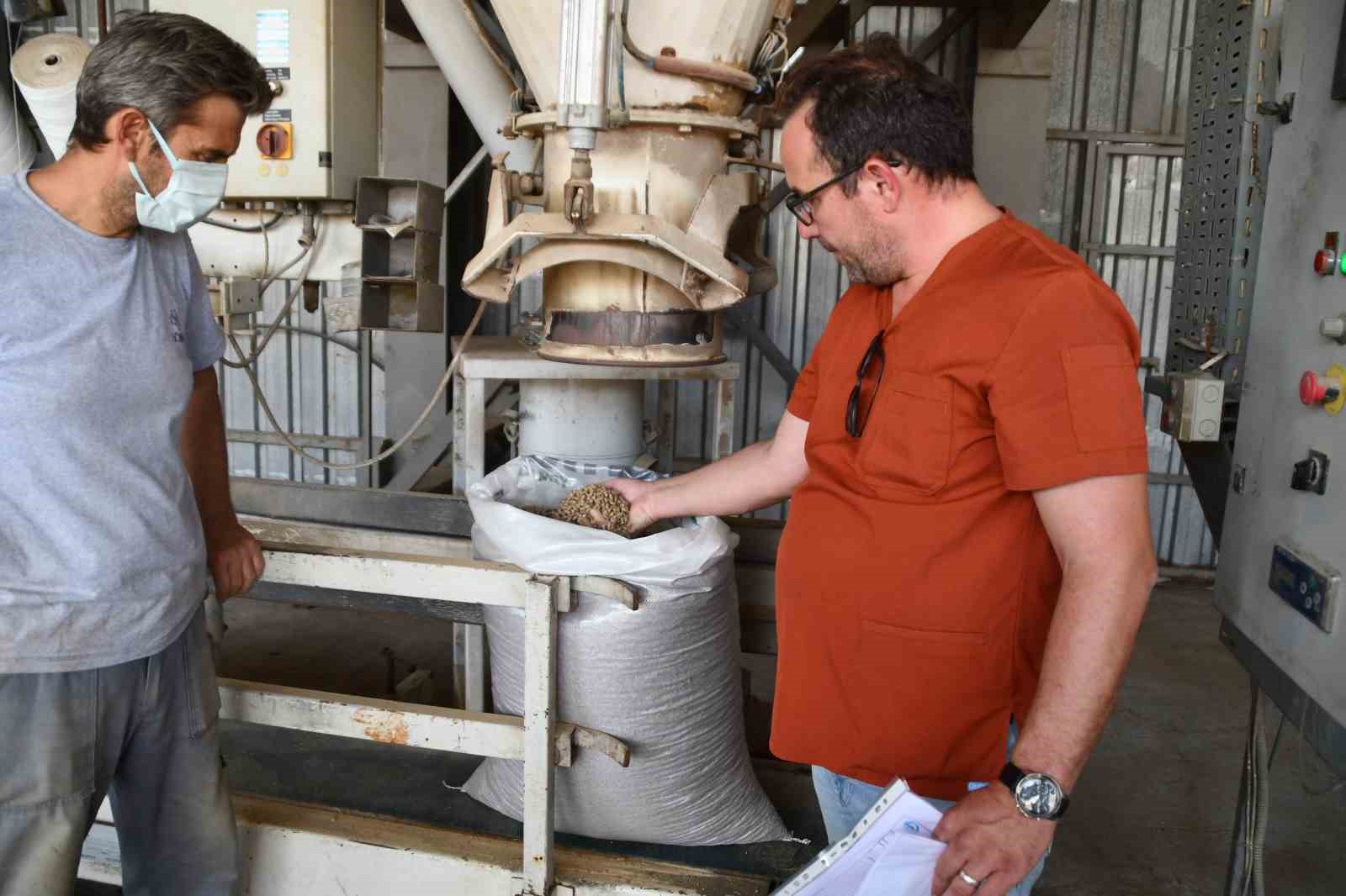 Soke Belediyesinden Sokak Hayvanlari Icin Ornek Calisma 4C29Edb1E961Ef565E0E75A90Ebca9F7