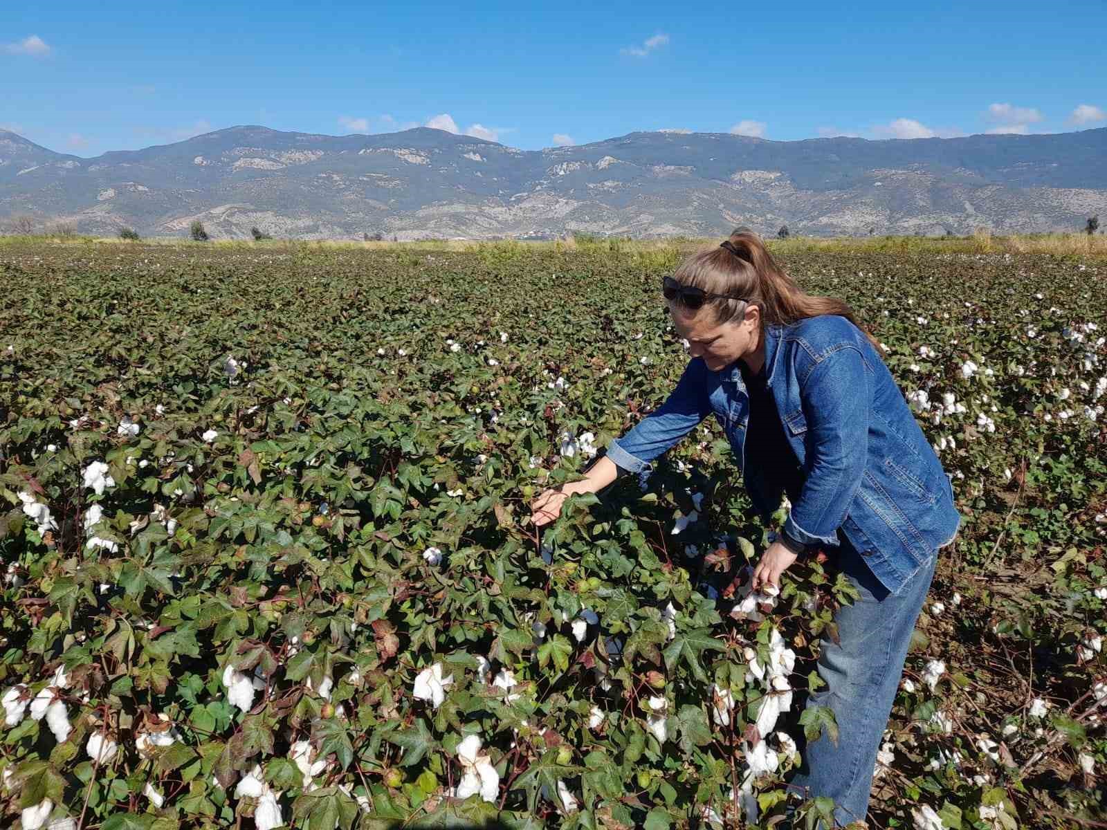 Sokede 2025 Yili Destekleme Urun Calismalari Yapildi 81A12895C63Bc84A5712B3117927C868