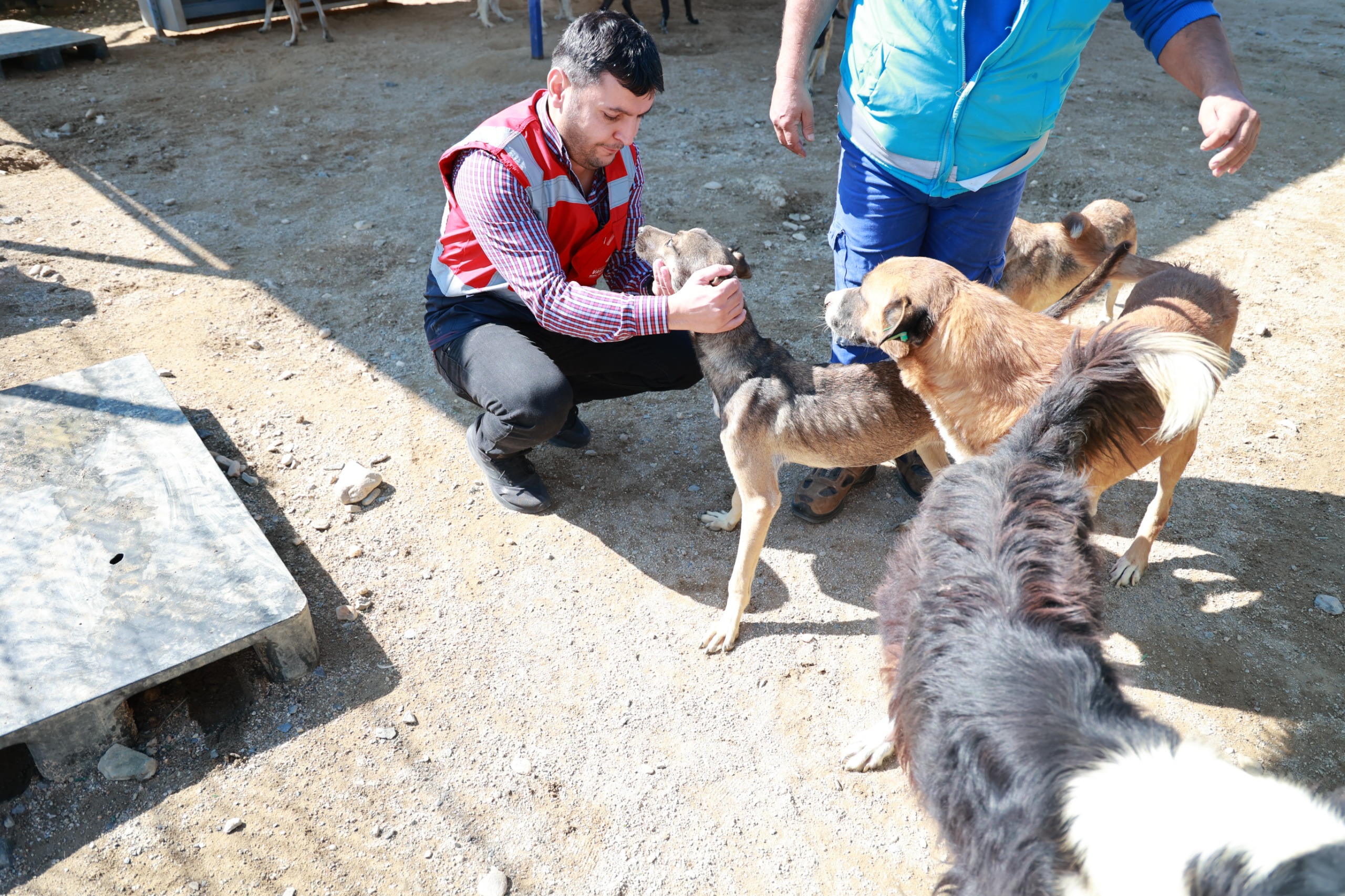 Vakiflar Bolge Mudurlugunden Can Dostlara 1000 Kilogram Mama Destegi 605881 1A6A0F87F6F4Ed4B445F2C9A7Cab3Abc