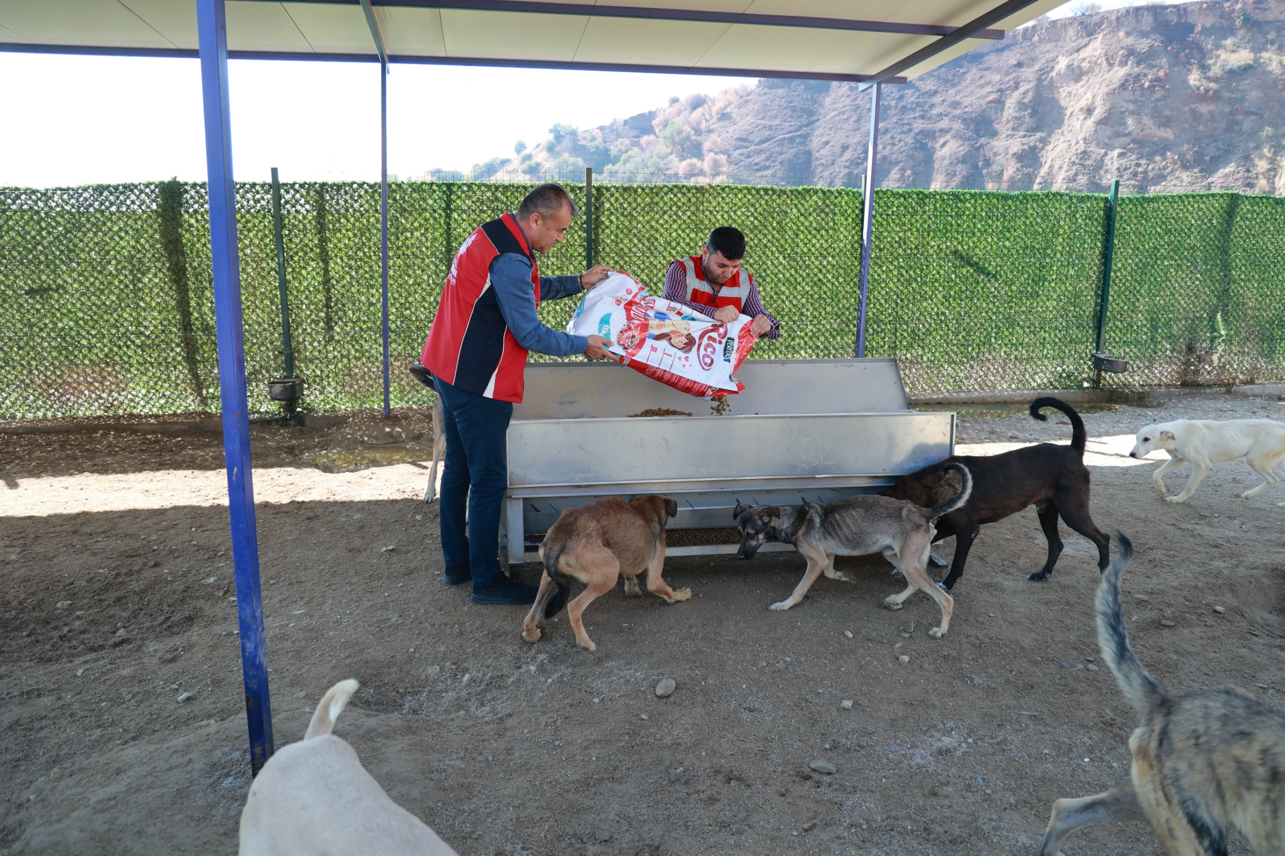 Vakiflar Bolge Mudurlugunden Can Dostlara 1000 Kilogram Mama Destegi 605881 8C595A1D3D2Fc38A8F77D3Efa7851538