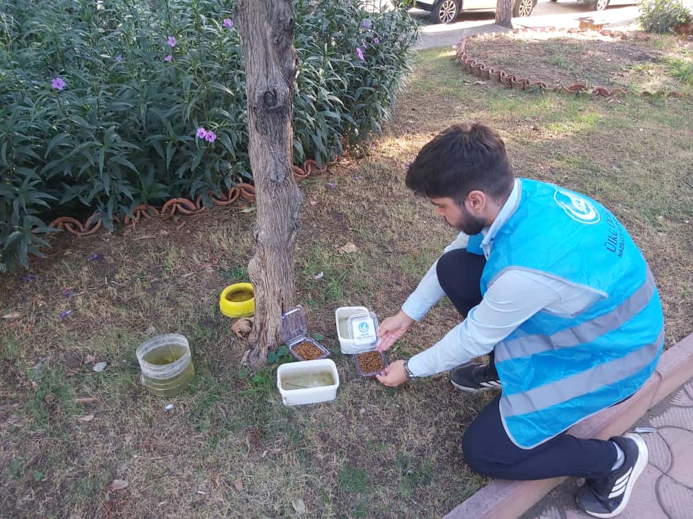 Whatsapp Image 2025 10 05 At 10.23.42