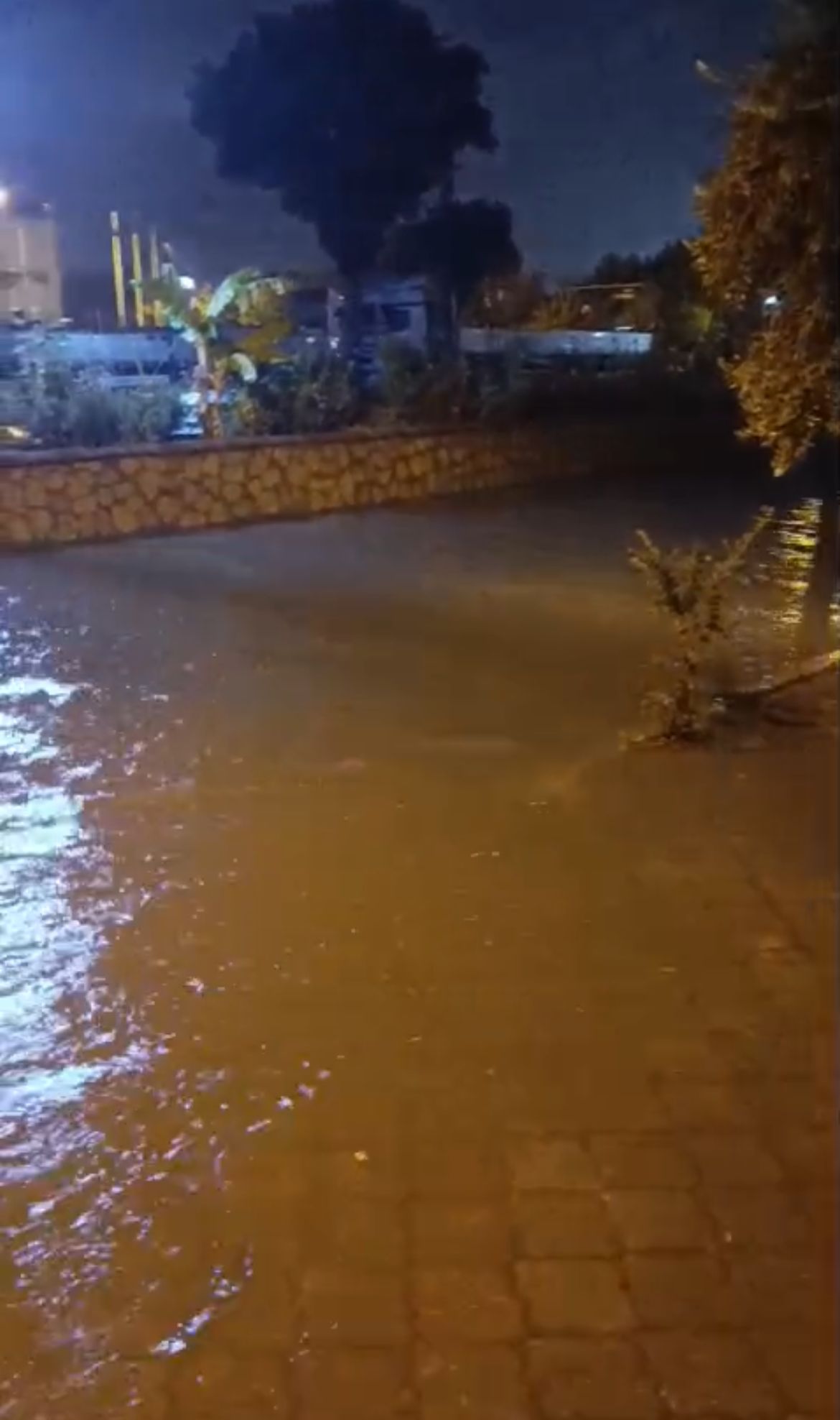 Whatsapp Image 2025 10 07 At 20.43.56