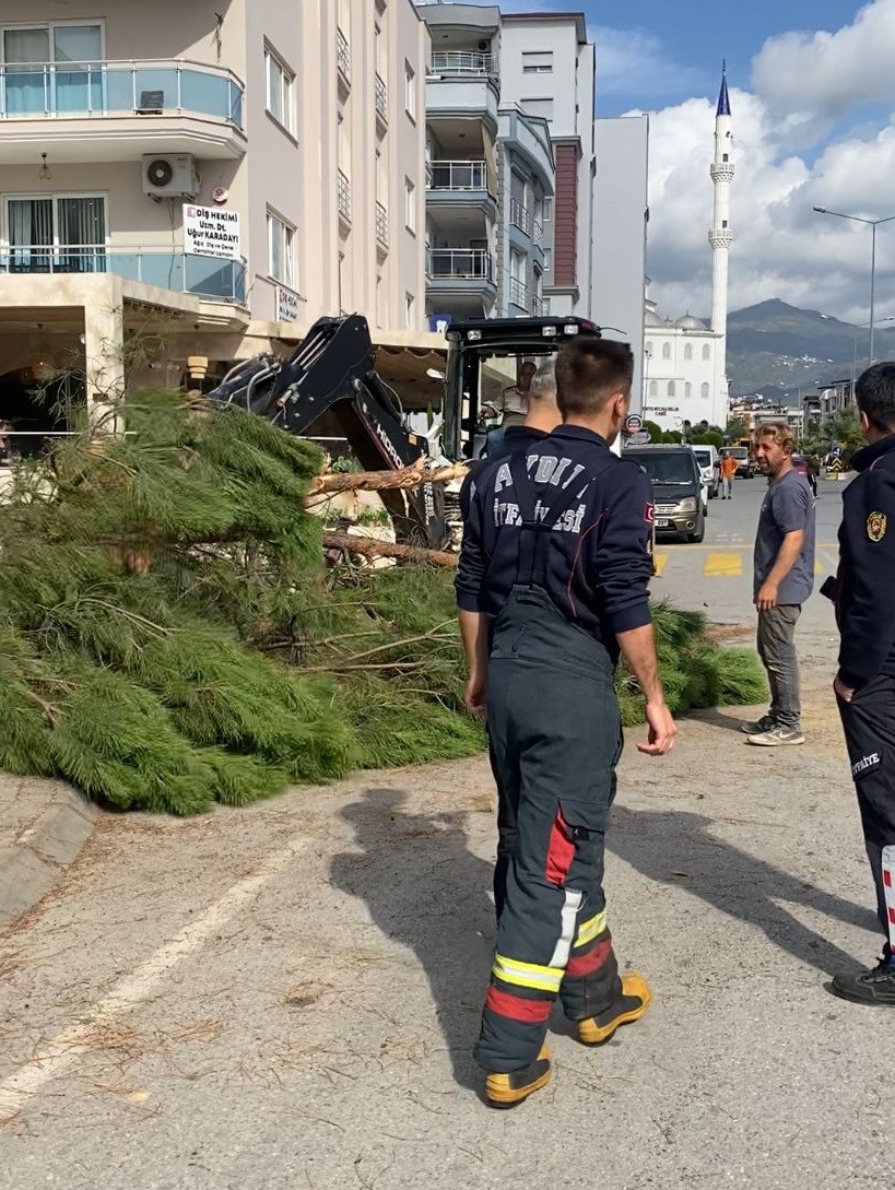 Yola Devrilen Agac Trafigi Aksatti 609370 B07142E7A774Bf3D30A1213Ac71E9Ba0