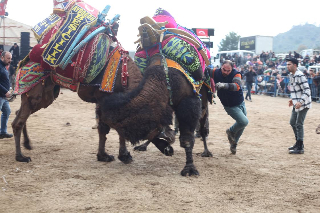 Ak Partiden Chpye Deve Guresi Tepkisi 614796 C9A6Bf14072E71251Fa2D382344518Da