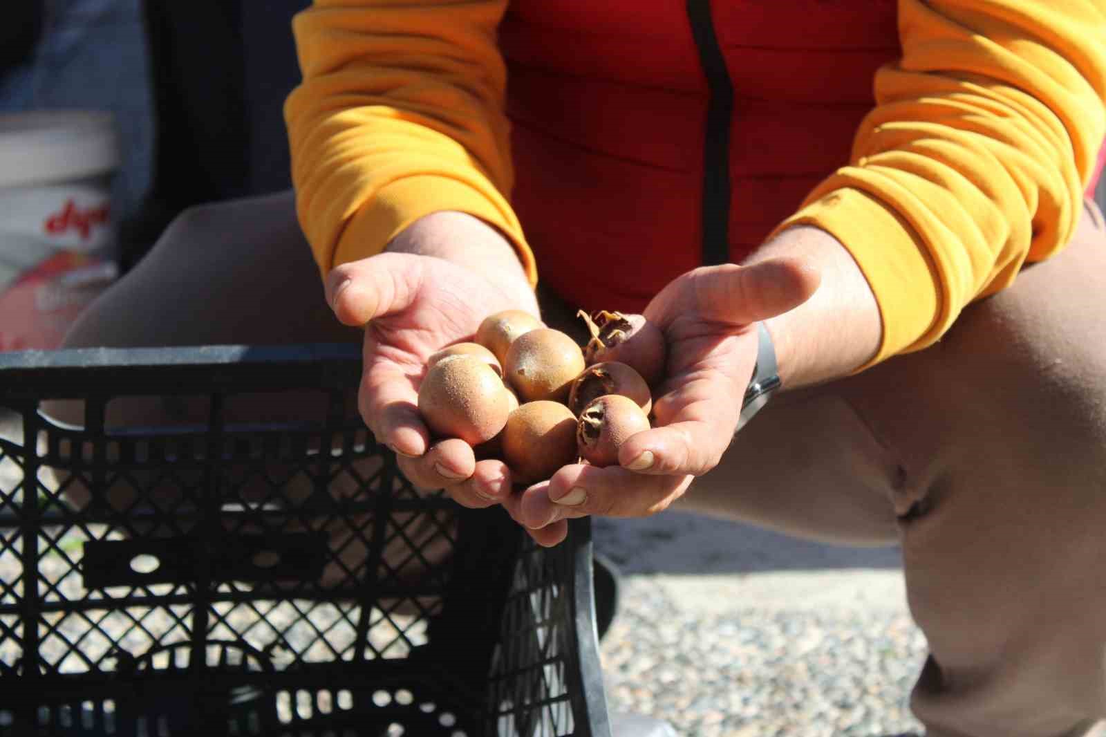 Aydin Daglarindan Gelen Lezzet Besbiyik Meyvesi Tezgahlarda Yerini Aldi 215E7Fd8Fca249Cfb076E1Ff32137Cc2