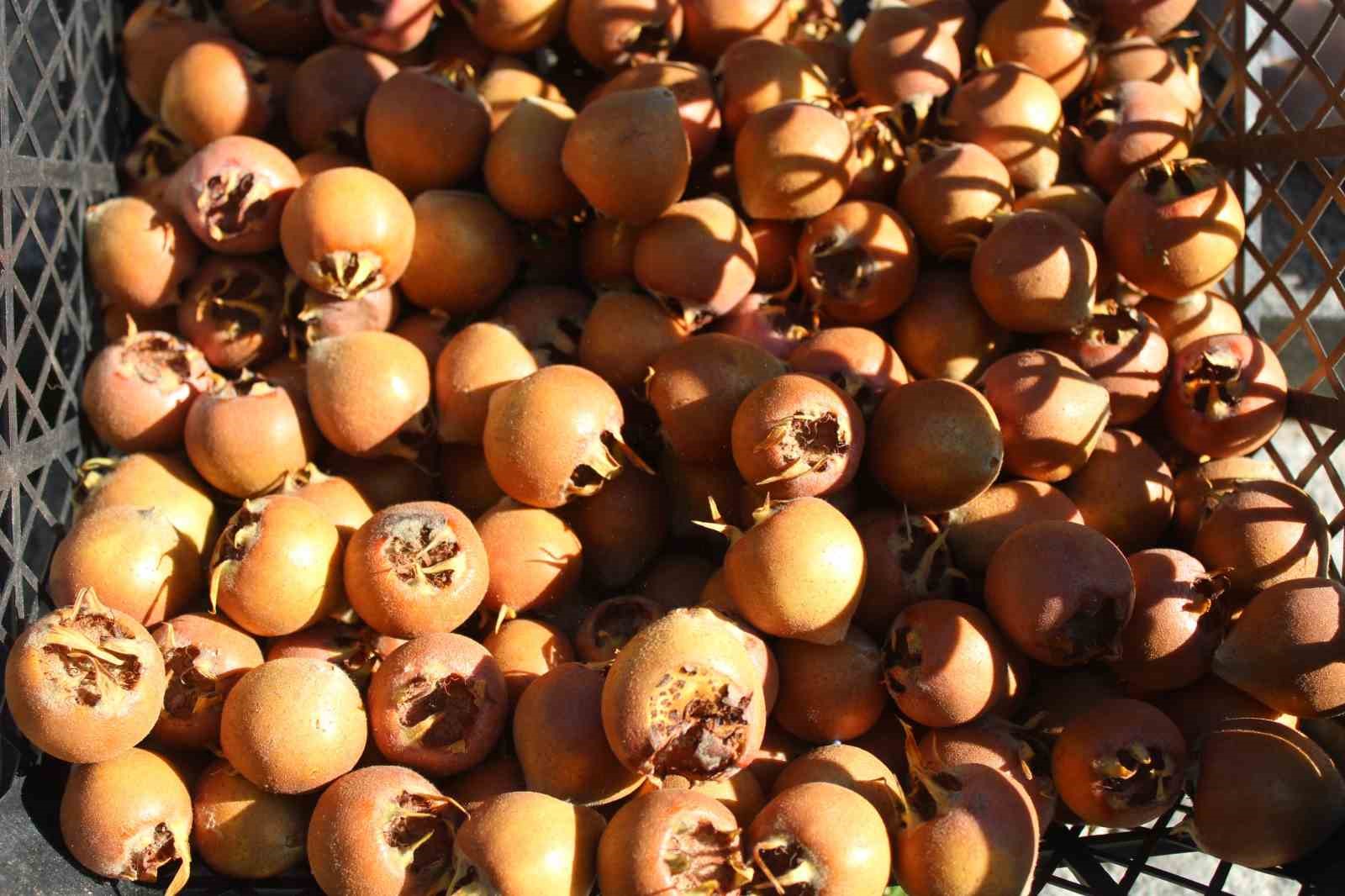 Aydin Daglarindan Gelen Lezzet Besbiyik Meyvesi Tezgahlarda Yerini Aldi Fbc04Abe8Fa616Cb901Ae84507442D86