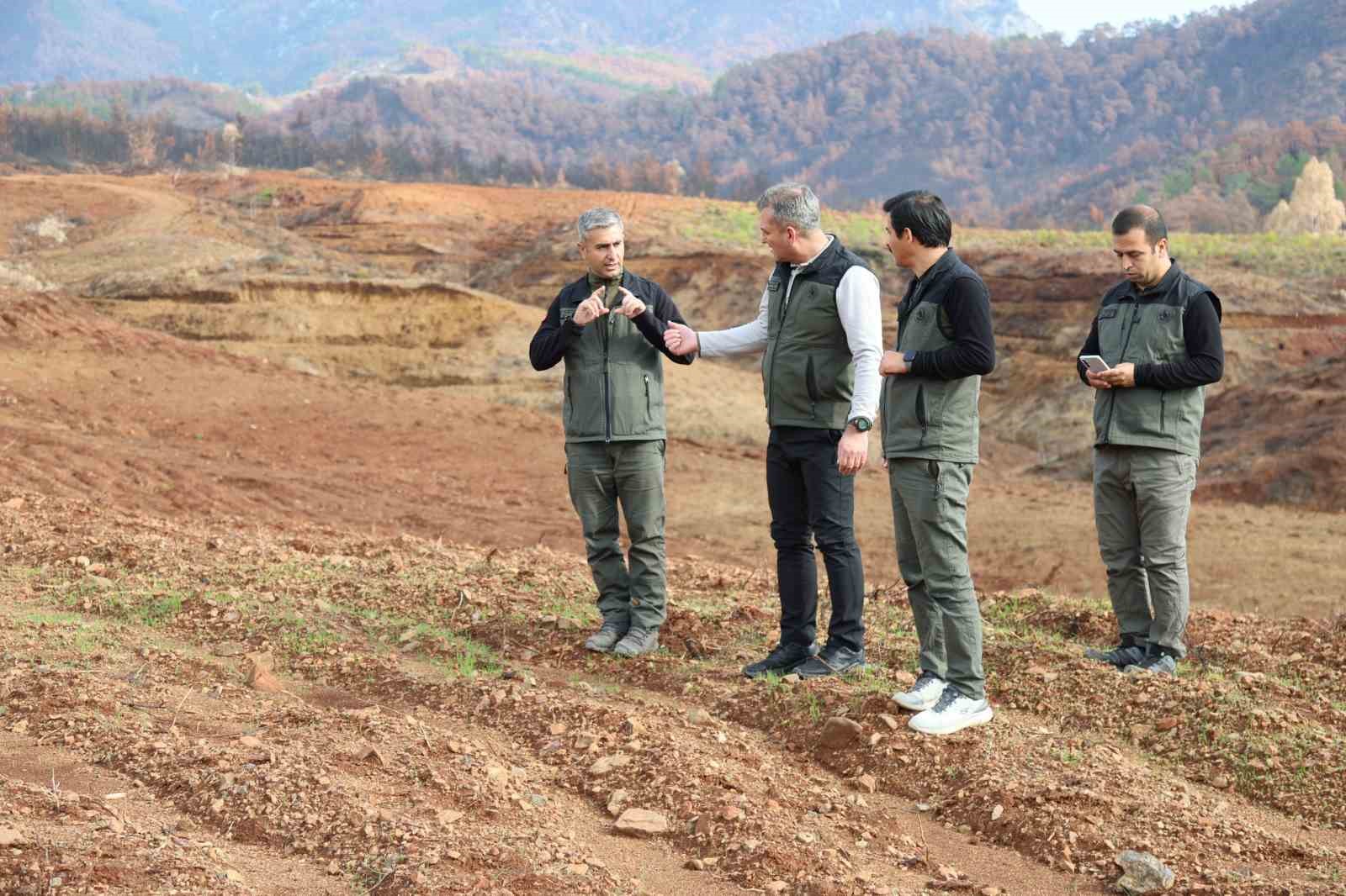 Aydinda 17 Lokasyonda Fidan Dikilecek 0E874A2C001A8583Be7Fc6E301F4C122