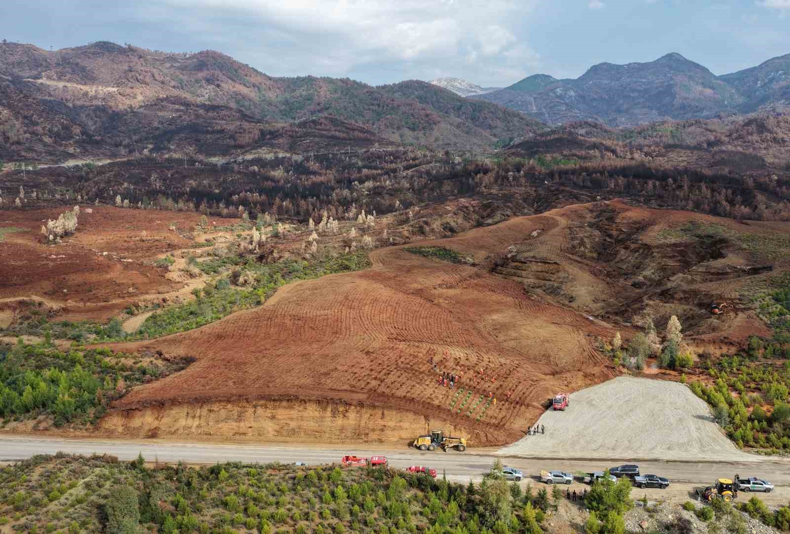 Aydinda 17 Lokasyonda Fidan Dikilecek 882829816Ccb0E9A74D6F791Cdd50F43