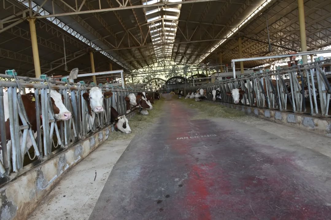 Aydinda 4 Projeye 158 Milyonluk Hibe 615720 772De06631F3016D991B66F8Edbd77Bd