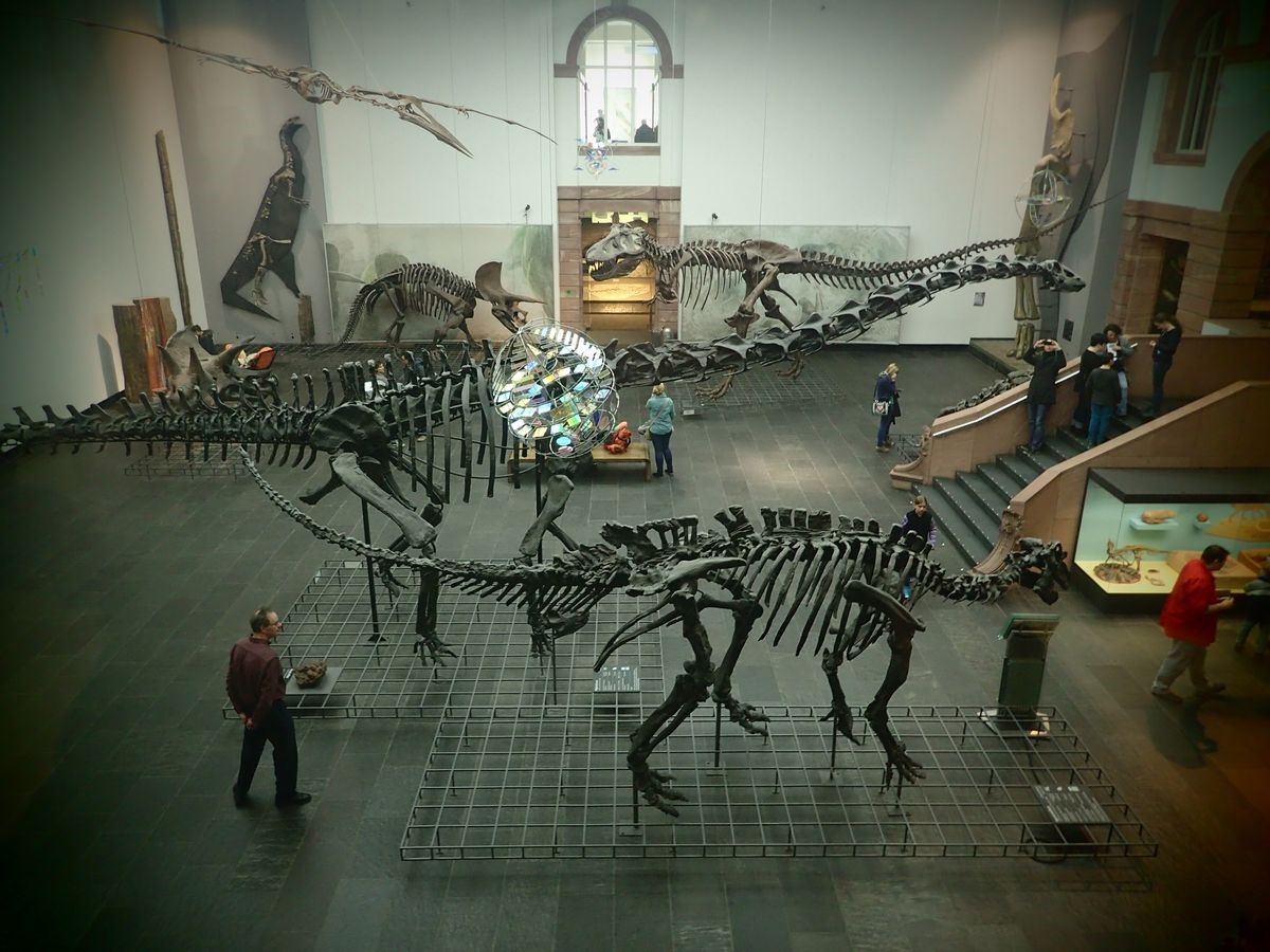 Aydinda Doga Tarihi Muzelerinin Onemine Dikkat Cekildi 0177E5Ce082Eda7Bd7Ae69Fba03649B1