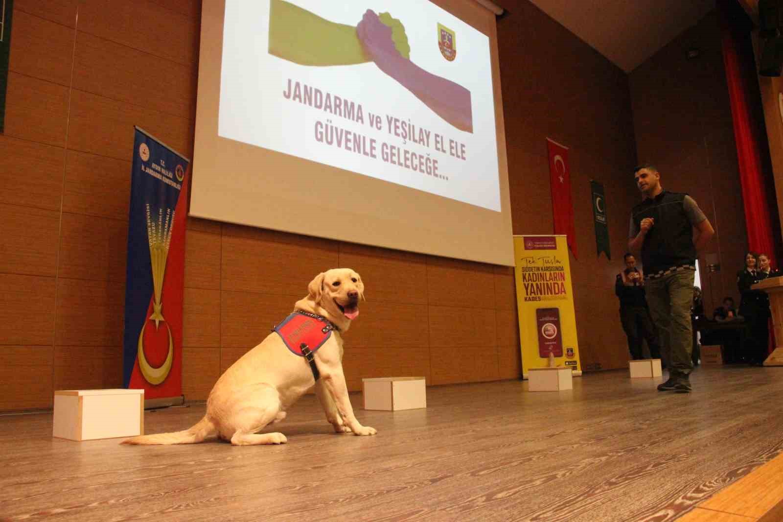 Aydinda Gencler Icin Siddetsiz Ve Bagimsiz Gelecek Bulusmasi Gerceklestirildi C6Cd2877Aa66B6E98Dd7D381Ec65F098