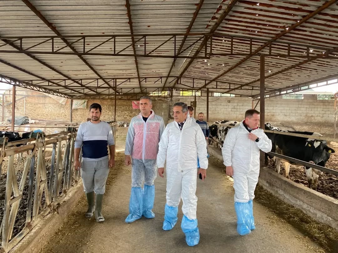 Aydinda Sap Hastaligina Karsi 565 Bin 687 Doz Asi Uygulandi 4734A0E712085753958C0A4E27F72302