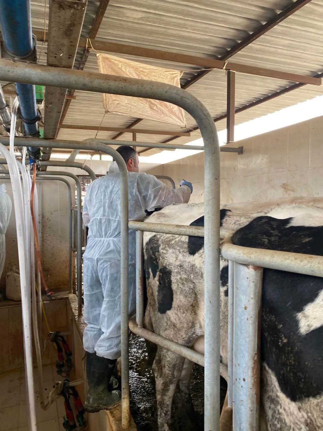 Aydinda Sap Hastaligina Karsi 565 Bin 687 Doz Asi Uygulandi Aaa1Bc79D1C7B1Cc3822Fcc91F1B389F