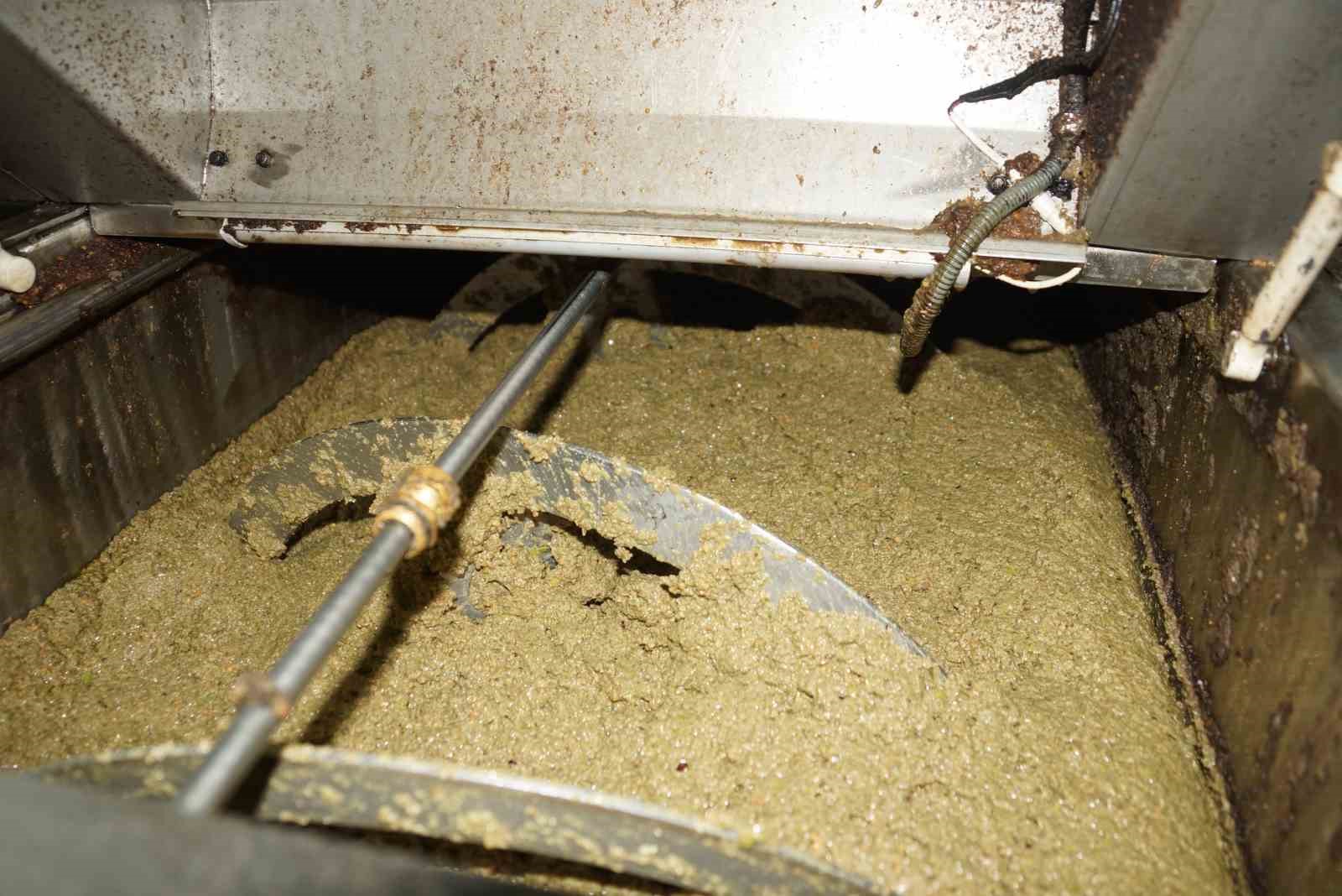 Aydinda Zeytinin Yaga Donusumu Basladi 1A70A299859Ebd0D34105F404Ca9073A