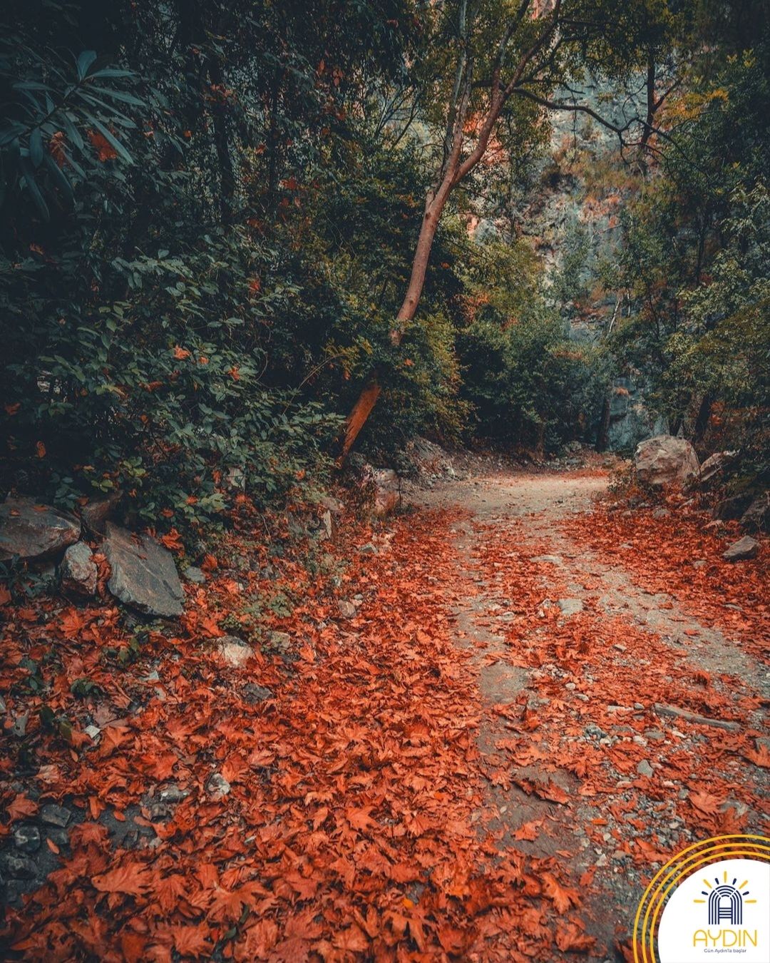 Aydinin Tabiat Harikasinda Kartpostallik Goruntuler Olustu 617256 17E59014083352Fa20B463Bbc7382F2D