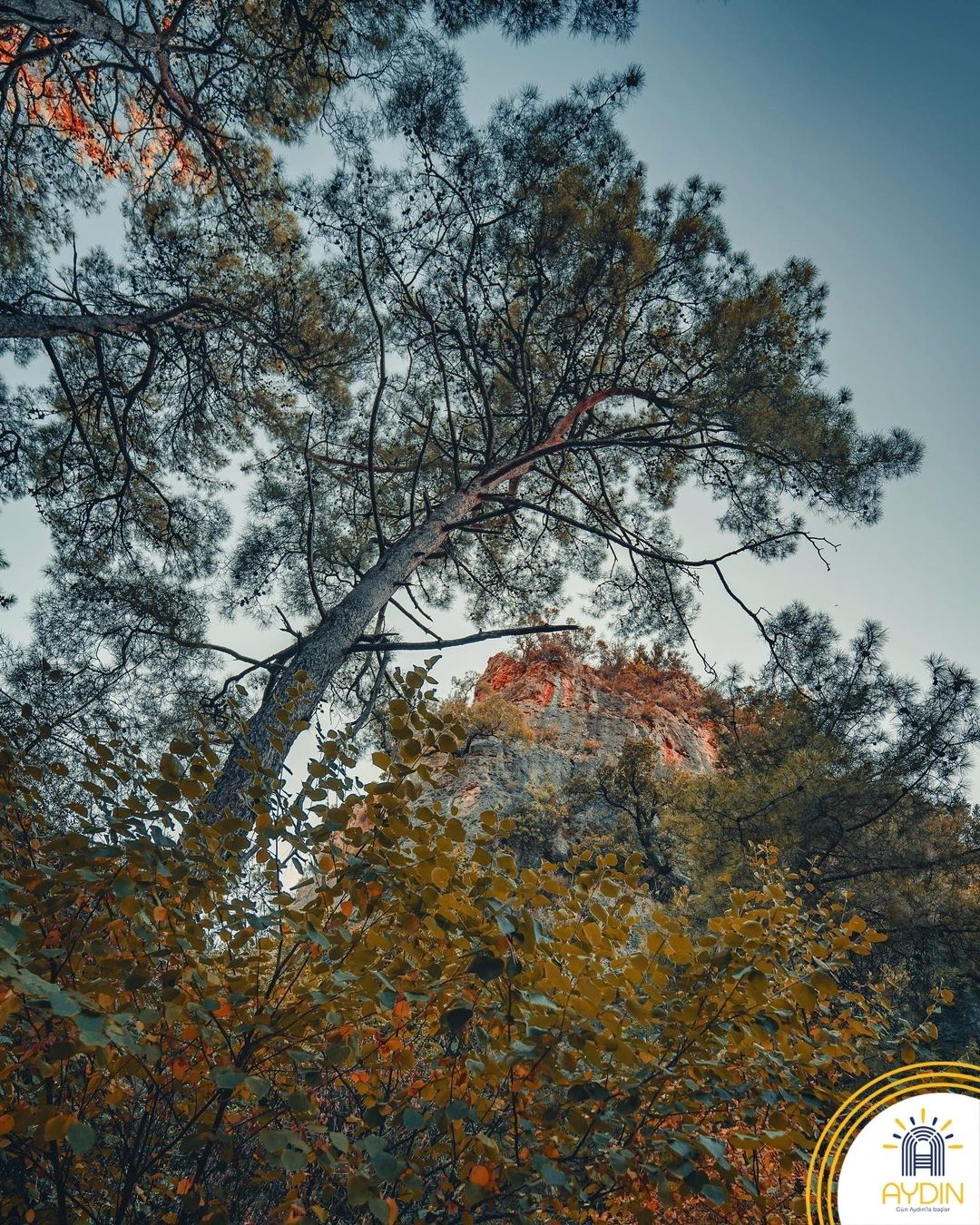 Aydinin Tabiat Harikasinda Kartpostallik Goruntuler Olustu 617256 23Cab5983C3C147Bced61284Bd443Caf