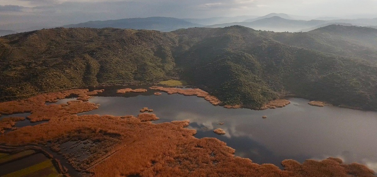 Azap Golunde Oltaya Takilan Tepeli Pelikan Balikcilarin Dikkatiyle Kurtuldu E07445E84Fd136069F7A1F27E38E9B3F