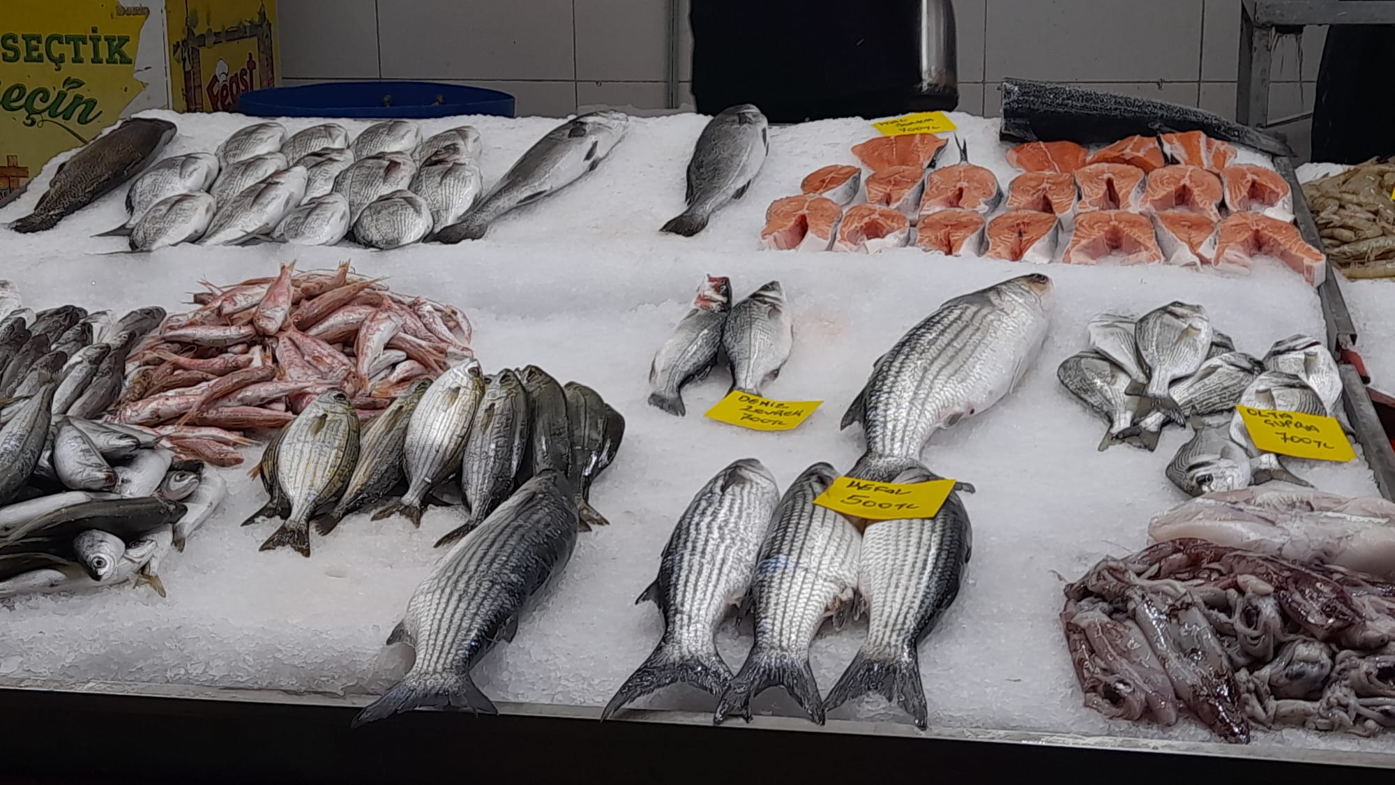 Balik Tezgahlarinda Hamsi Bereketi Basladi 614089 71D1D3D52071Ce344D918F6A986Ea3D7
